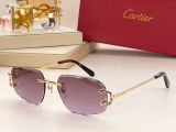 C*artier Glasses Top