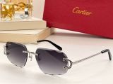 C*artier Glasses Top