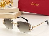 C*artier Glasses Top
