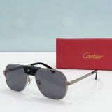 C*artier Glasses Top