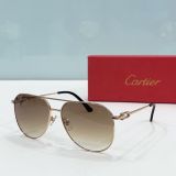 C*artier Glasses Top