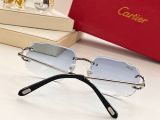 C*artier Glasses Top