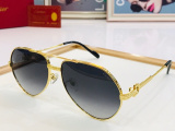 C*artier Glasses Top