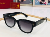 C*artier Glasses Top
