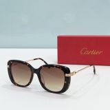C*artier Glasses Top
