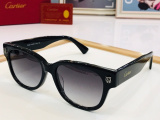 C*artier Glasses Top