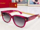 C*artier Glasses Top