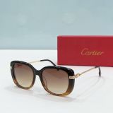 C*artier Glasses Top