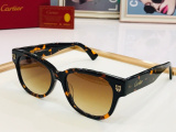 C*artier Glasses Top