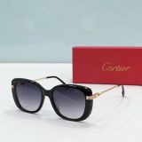 C*artier Glasses Top