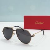 C*artier Glasses Top
