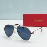 C*artier Glasses Top