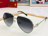 C*artier Glasses Top