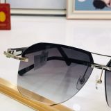 C*artier Glasses Top