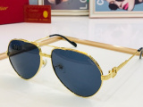 C*artier Glasses Top