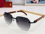 C*artier Glasses Top