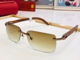 C*artier Glasses Top