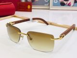 C*artier Glasses Top