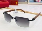 C*artier Glasses Top