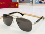 C*artier Glasses Top