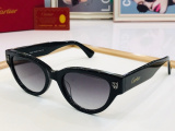 C*artier Glasses Top