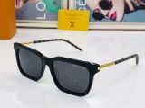 L*ouis V*uitton Glasses Top