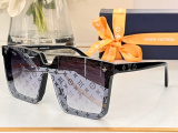 L*ouis V*uitton Glasses Top