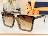 L*ouis V*uitton Glasses Top