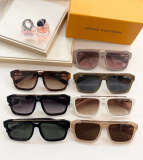 L*ouis V*uitton Glasses Top