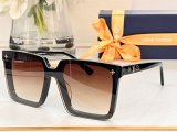 L*ouis V*uitton Glasses Top