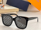L*ouis V*uitton Glasses Top