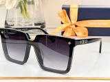 L*ouis V*uitton Glasses Top