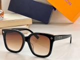 L*ouis V*uitton Glasses Top