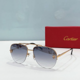 C*artier Glasses Top