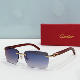 C*artier Glasses Top