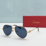 C*artier Glasses Top