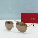 C*artier Glasses Top