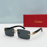 C*artier Glasses Top