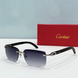 C*artier Glasses Top