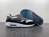 Air Max 1  Escape  FJ0698-100
