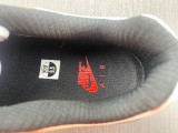 Air Max 1  Escape  FJ0698-100