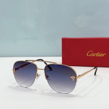 C*artier Glasses Top