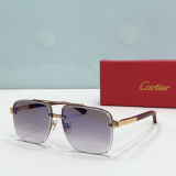 C*artier Glasses Top