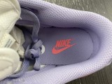 Dunk Low lndigo Haze  DD1503-500
