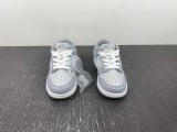 N*IKE Dunk Low Grey DH9756-001