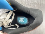 Kobe 6 Protro 869457-007