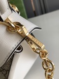G*ucci Bag Top Quality 22*16*10.5CM