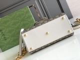 G*ucci Bag Top Quality 22*16*10.5CM