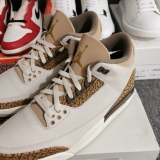Air Jordan 3 “Palomino” CT8532-102