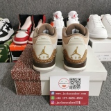 Air Jordan 3 “Palomino” CT8532-102